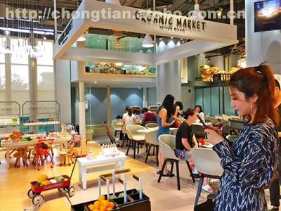 【工厂直销上海亲子餐厅桌椅 实木桌椅定制 简约风格椅子】HR-1257,价格,厂家,供应商,室内家具,上海韩尔家具厂 - 产品库 - 阿土伯交易网